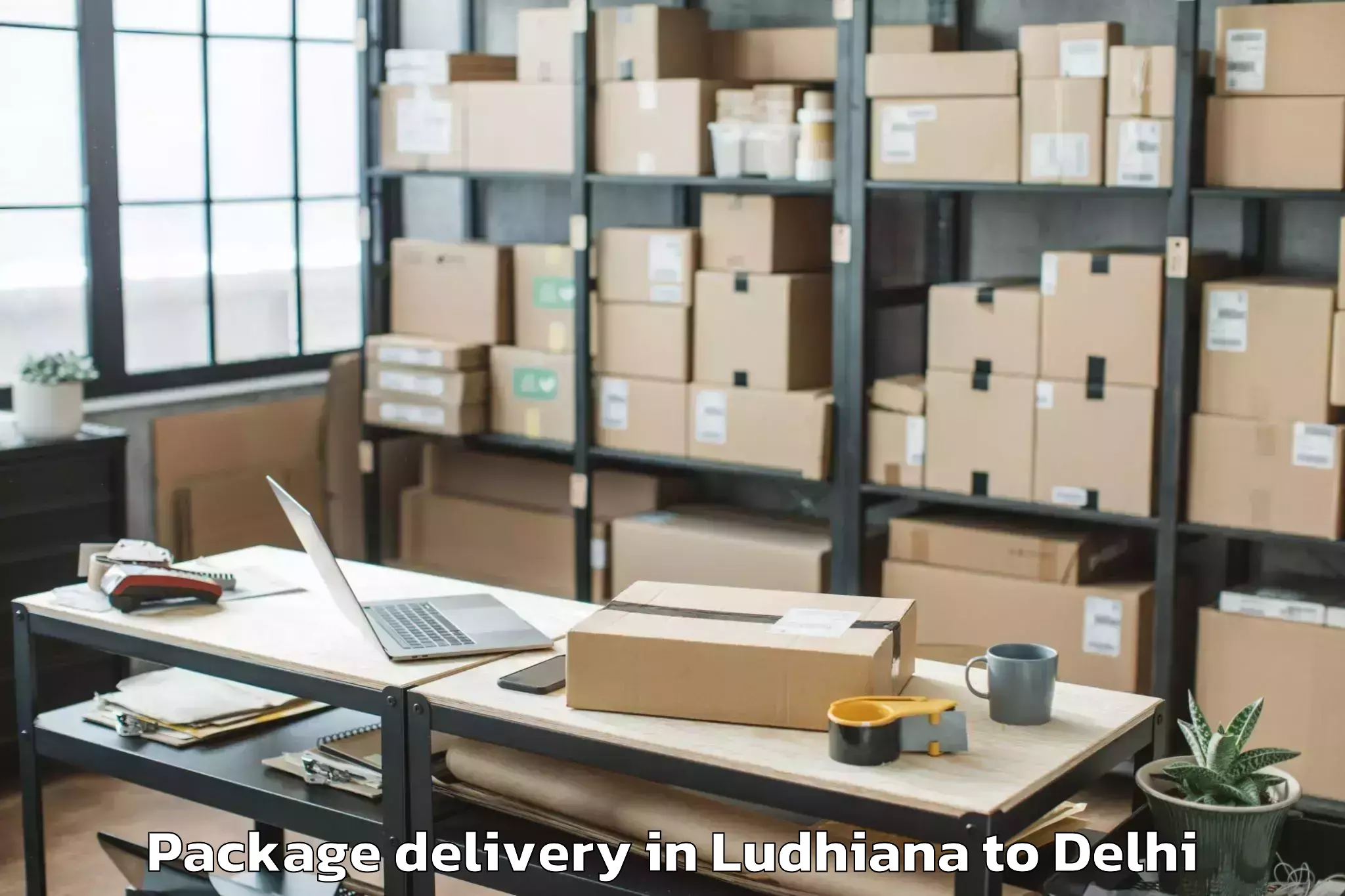 Easy Ludhiana to Najafgarh Package Delivery Booking